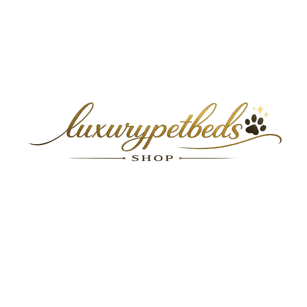 My Blog