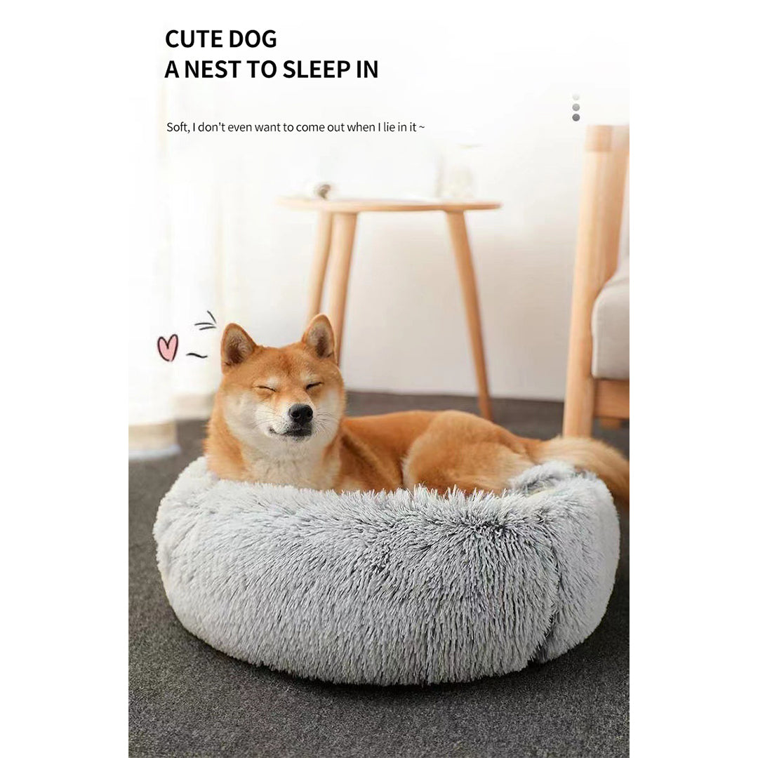 cat-bed-online luxurypetbeds