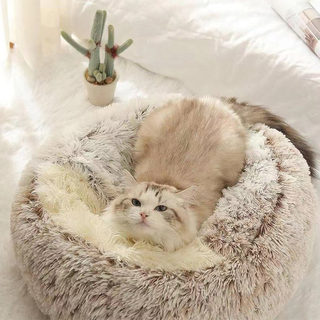 durable-comfortable-dog-and-cat-bed luxurypetbeds